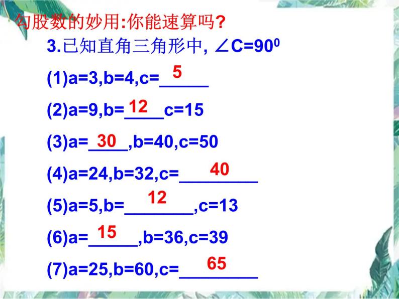 北师大版 八年级上册 勾股定理复习课 优质课件07