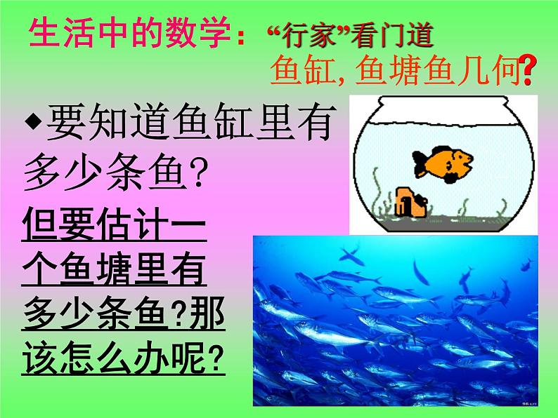 北师大版 九年级上册 综合与实践:池塘里有多少条鱼 优质课件第3页
