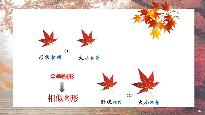 浙教版九年级上册 4.3 相似三角形 课件第3页
