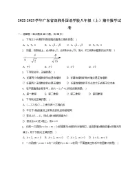 2022-2023学年广东省深圳外国语学校八年级（上）期中数学试卷（含解析）