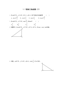 浙教版九年级下册1.1 锐角三角函数精练