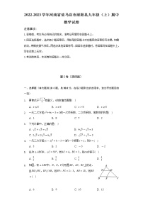 2022-2023学年河南省驻马店市泌阳县九年级（上）期中数学试卷（含解析）