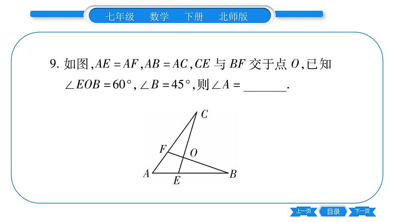 北师大版七年级数学下单元周周测(4.1-4.3)习题课件第8页
