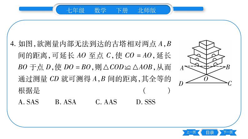 北师大版七年级数学下期末复习(三角形及生活中的轴对称)习题课件第5页