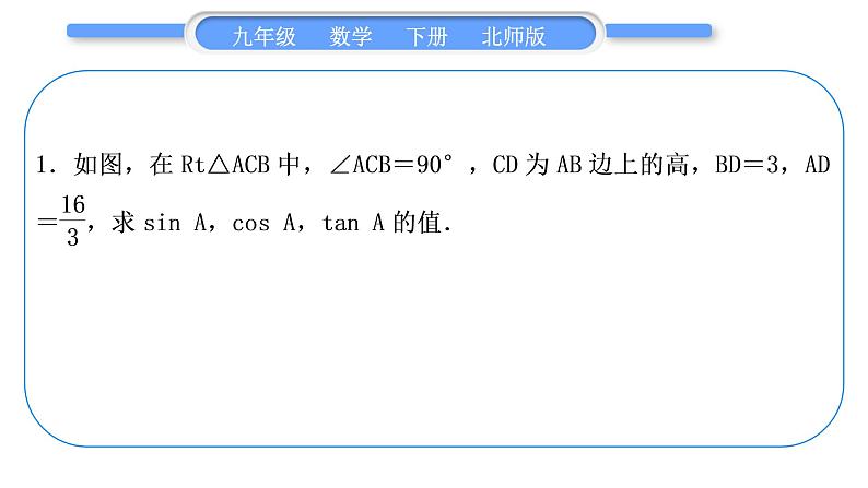 北师大版九年级数学下第一章直角三角形的边角关系知能素养小专题(四)锐角三角函数与相似的综合习题课件第2页