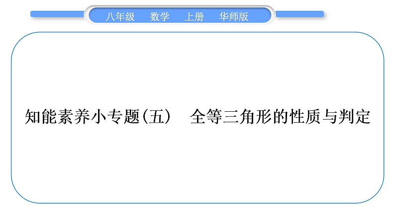 华师大版八年级数学上第13章全等三角形知能素养小专题(五)全等三角形的性质与判定习题课件01