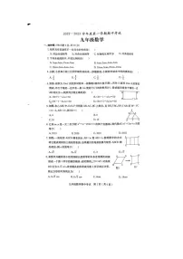 广东省茂名市电白区2022-2023学年九年级上学期期中考试数学试卷（含答案）