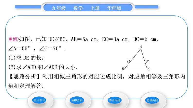 华师大版九年级数学上第23章图形的相似23.3相似三角形1似三角形习题课件03