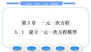 初中湘教版3.1 建立一元一次方程模型习题课件ppt