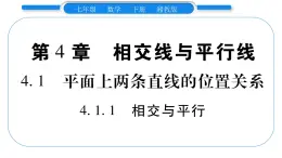 湘教版七年级数学下第4章相交线与平行线4.1平面上两条直线的位置关系1相交与平行习题课件