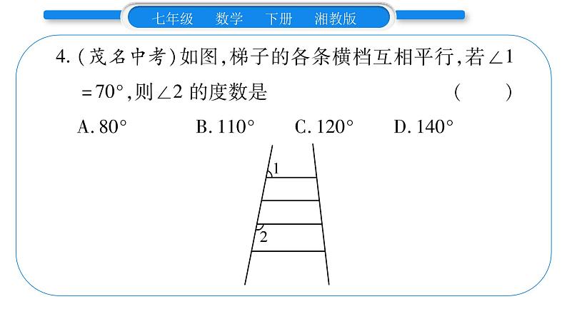 湘教版七年级数学下第4章相交线与平行线小专题(三)平行线的性质与判定习题课件第5页