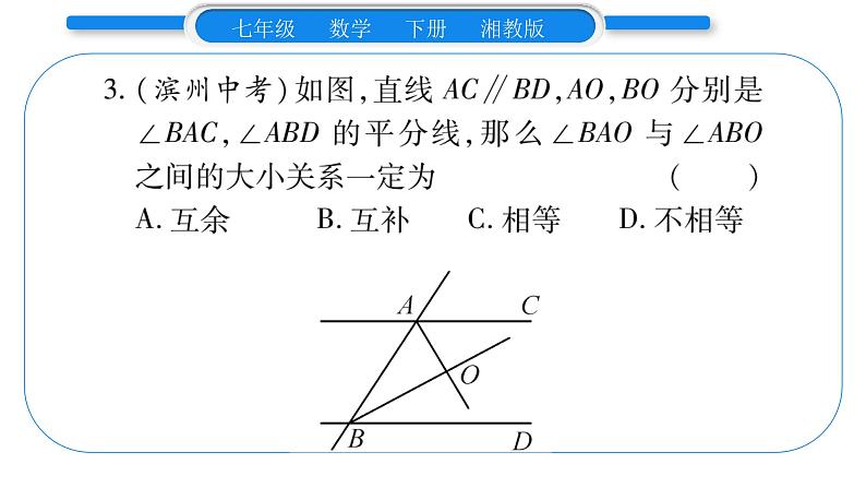 湘教版七年级数学下周周练(九)(4.5~4.6)习题课件04