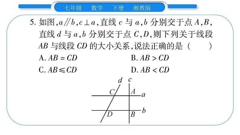 湘教版七年级数学下周周练(九)(4.5~4.6)习题课件06
