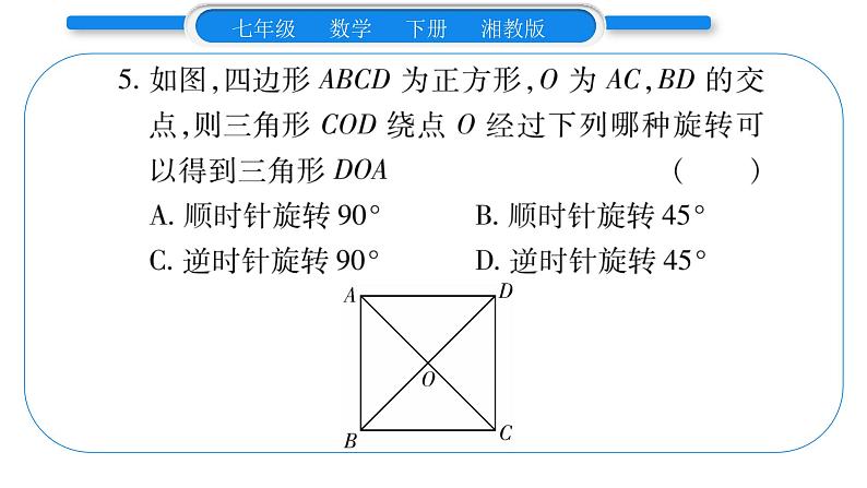 湘教版七年级数学下周周练(十)(5.1~5.3)习题课件06