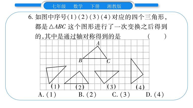 湘教版七年级数学下周周练(十)(5.1~5.3)习题课件07