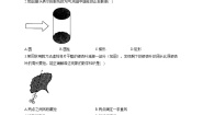 华师大版七年级上册第4章 图形的初步认识综合与测试单元测试同步测试题