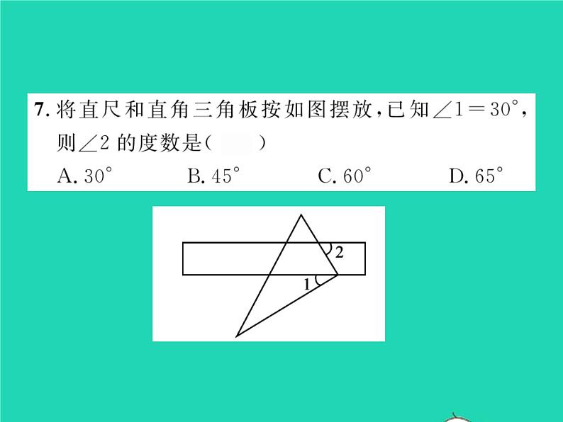 2022七年级数学下册第10章相交线与平行线10.3平行线的性质习题课件新版沪科版第8页