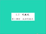 2022七年级数学上册第三章代数式3.2代数式第一课时认识代数式习题课件新版冀教版