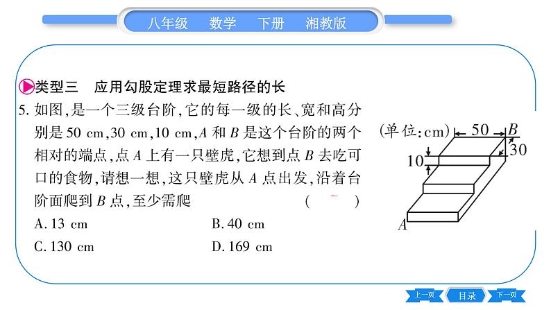 湘教版八年级数学下第1章直角三角形小专题(一)勾股定理的应用习题课件第8页