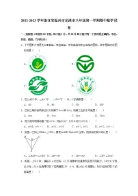 _浙江省温州市龙港市2022-2023学年八年级上学期期中考试数学试卷(含答案)