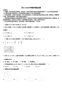 西藏拉薩達(dá)孜縣2022年中考數(shù)學(xué)猜題卷含解析