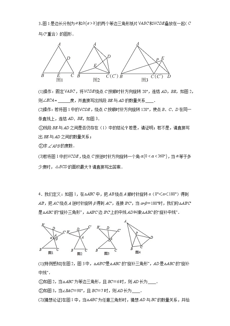 2023年九年级中考数学复习:几何探究压轴题(角度问题)02