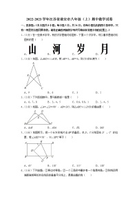 江苏省淮安市2022-2023学年八年级上学期期中考试数学试卷（含答案）
