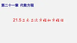 21.5二元二次方程和方程组（课件）-八年级数学下册同步备课系列（沪教版）