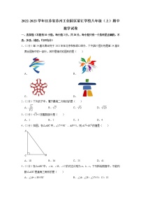 江苏省苏州工业园区星汇学校2022-2023学年八年级上学期期中数学试卷(含答案)
