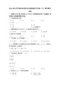 湖北省武汉市东湖高新区2022-2023学年七年级上学期期中数学试卷