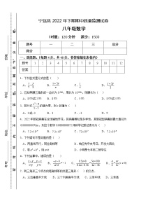 湖南省永州市宁远县2022-2023学年八年级上学期期中质量监测数学试题(含答案)