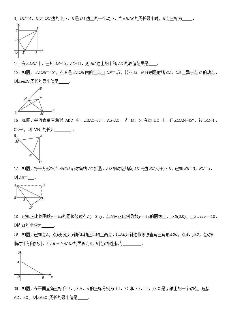 江苏地区2022学年八年级上学期数学期末真题提优考点【填空50道】-(原卷版)第3页