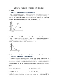 專題 17.6 勾股定理(鞏固篇)(專項(xiàng)練習(xí)2)-八年級(jí)數(shù)學(xué)下冊(cè)基礎(chǔ)知識(shí)專項(xiàng)講練(人教版)