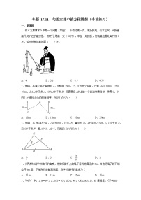 專題 17.11 勾股定理中的方程思想(專項(xiàng)練習(xí))-八年級(jí)數(shù)學(xué)下冊(cè)基礎(chǔ)知識(shí)專項(xiàng)講練(人教版)