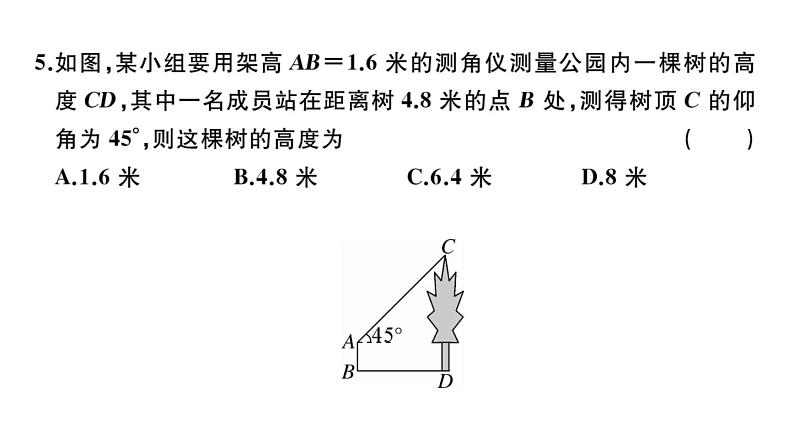 北师大版九年级数学下期末学业质量评价习题课件05