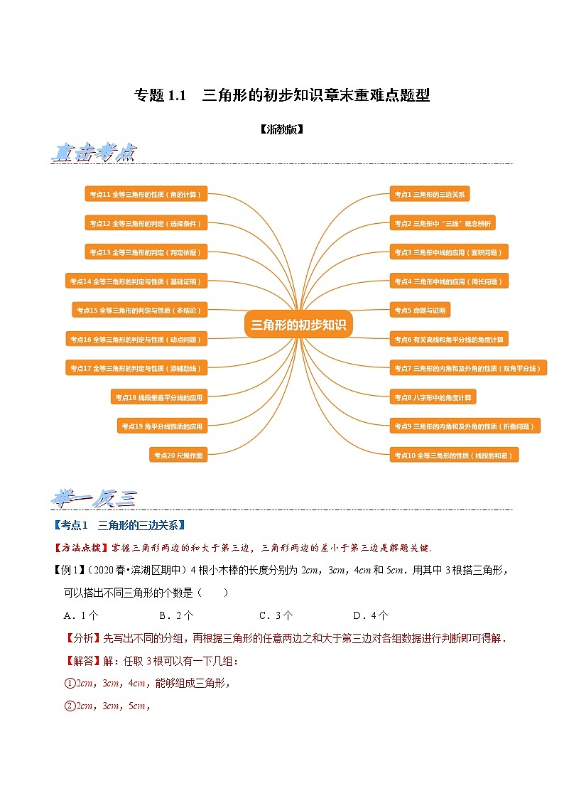 专题1.1 三角形的初步知识章末重难点题型(举一反三)(浙教版)(解析版)第1页