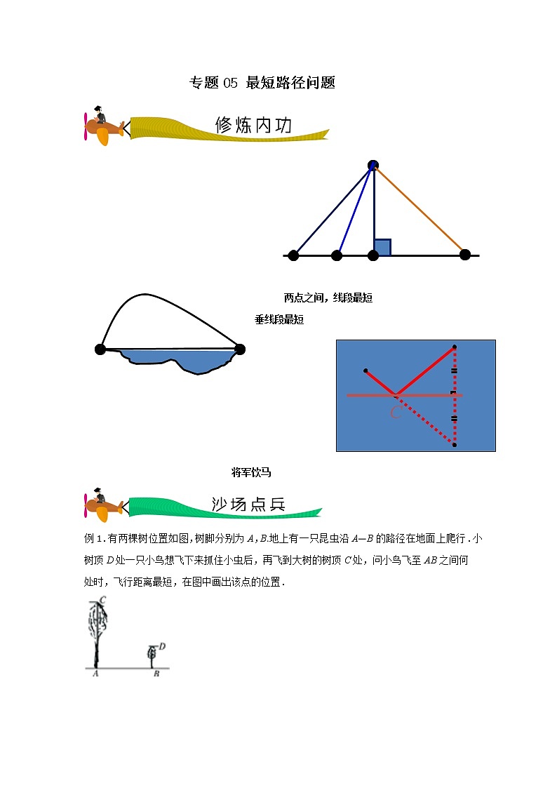 专题05 最短路径问题(原卷版)第1页