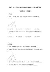 专题1.16 《探索三角形全等》作辅助线（三）-倍长中线（专项练习）（基础篇）-八年级数学上册基础知识专项讲练（苏科版）