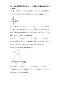 2023年九年级数学中考复习:二次函数与不等式训练附答案