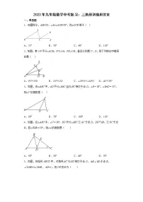 2023年九年级数学中考复习:三角形训练附答案