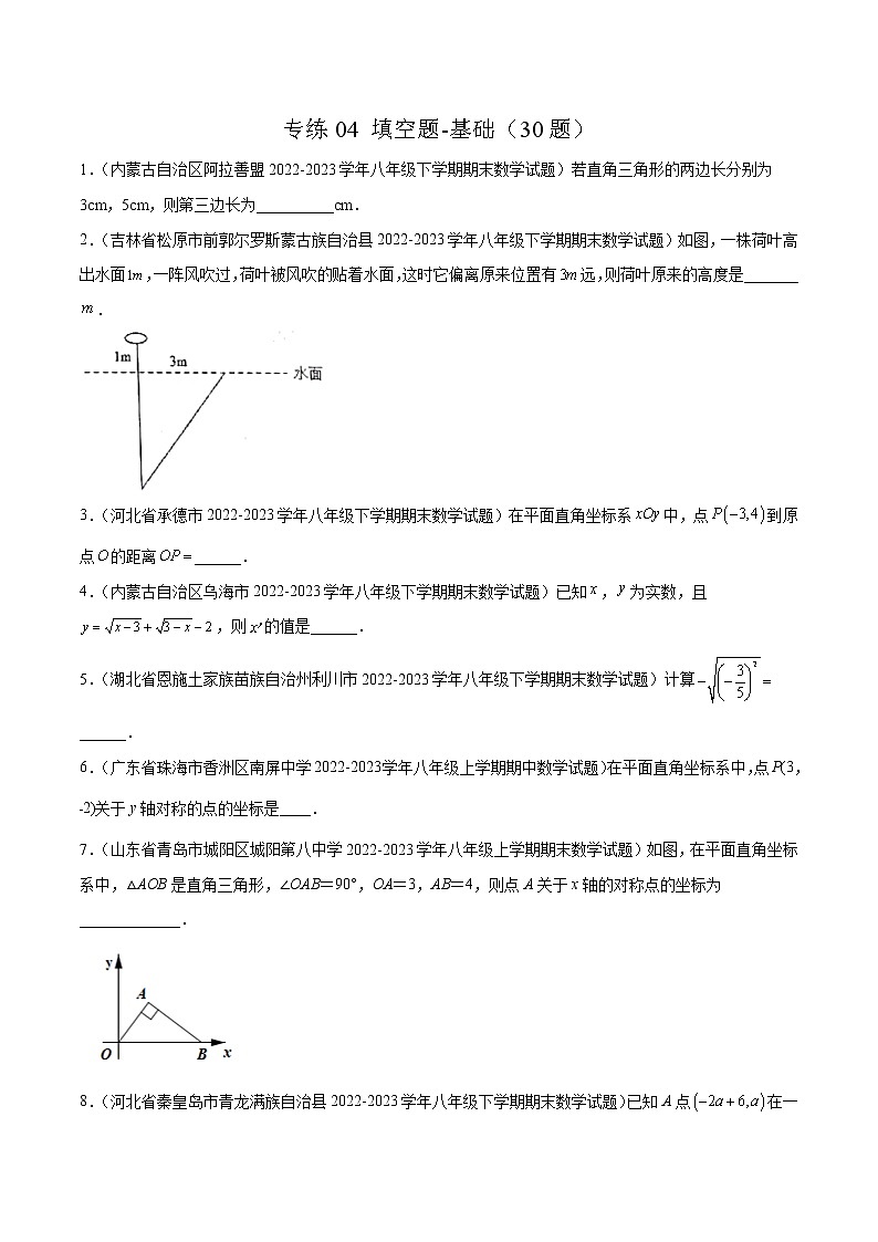 【期末考前必练】2022-2023学年北师大版数学八年级上册期末考点必刷题:专练04 填空题-基础(30题)01