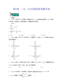 【期末·典型题】北师大版数学八年级上册满分攻略：第5章 二元一次方程组（典型题专练）