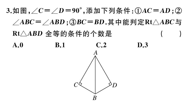 北师大版八年级数学下第一章三角形的证明1.2 第2课时 直角三角形全等的判定课后习题课件04