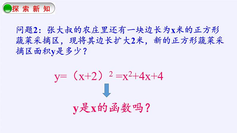 江苏科学技术出版社初中数学九年级下册 5.1 二次函数 课件9第4页