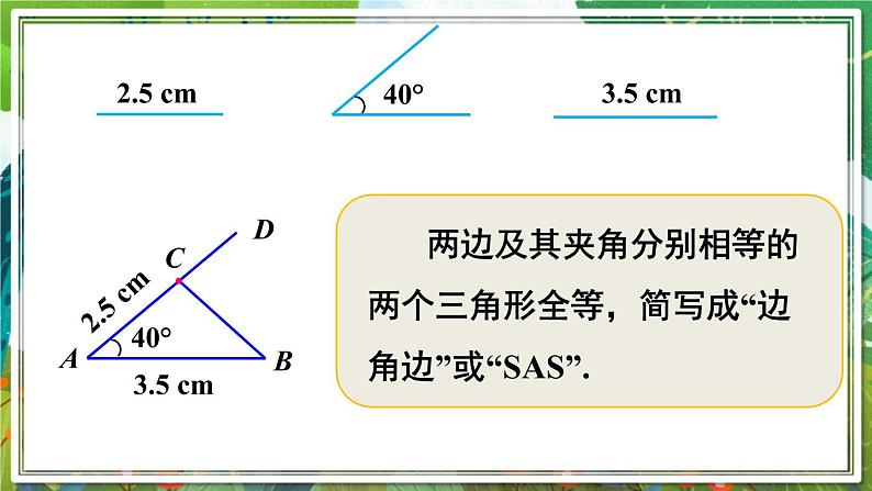 北师版数学七年级下册 4.3.3利用“边角边”判定三角形全等 课件第5页