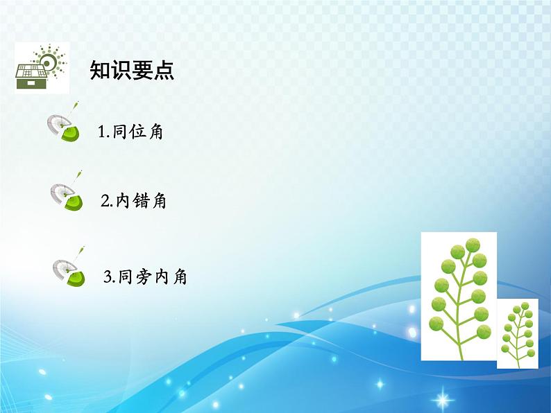 5.1.3 同位角,内错角,同旁内角 人教版初中数学七下教学课件02