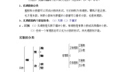 初中数学北师大版八年级上册1 认识无理数学案