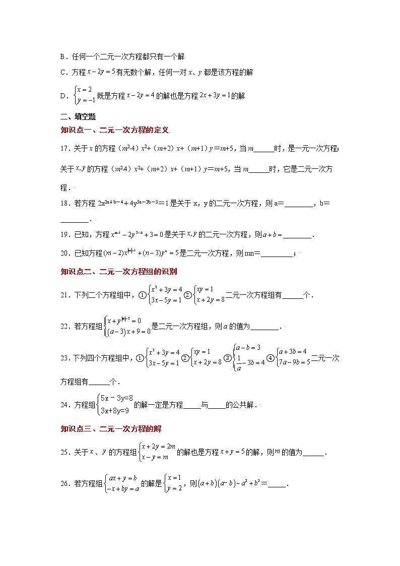 专题5.3 认识二元一次方程组(专项练习)(巩固篇)第3页