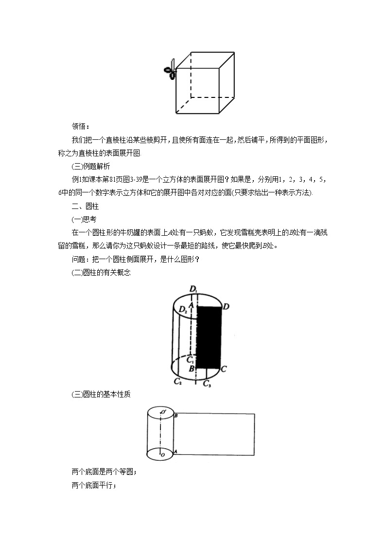 3.4 简单几何体的表面展开图 浙教版九年级下册数学教案02