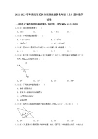 2022-2023学年湖北省武汉市东湖高新区七年级（上）期末数学试卷